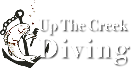 Up The Creek Diving